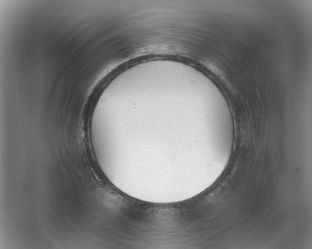 X0000067521070200604150154