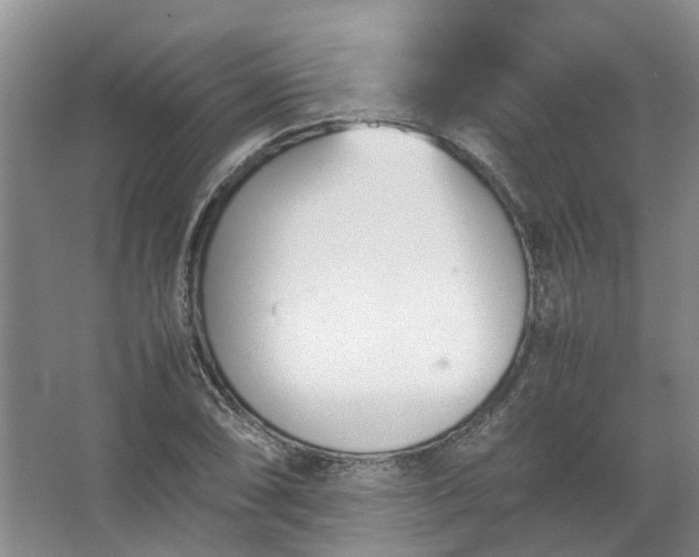 X0000067521074200604150154