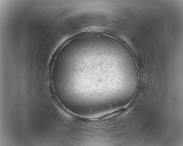 X0000067521075200604150154