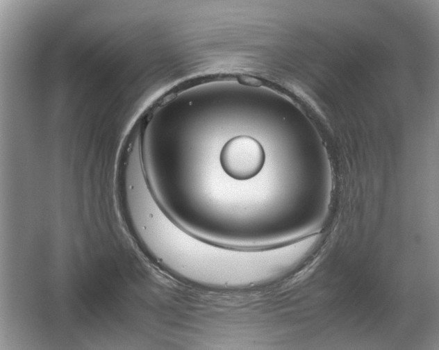 X0000067521077200604150154