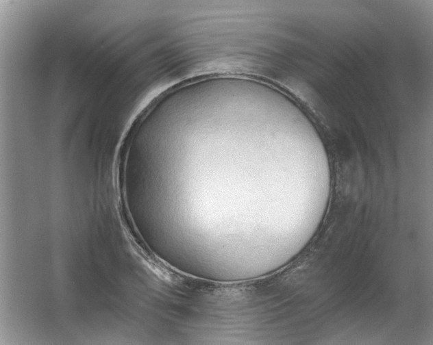 X0000067521078200604150154