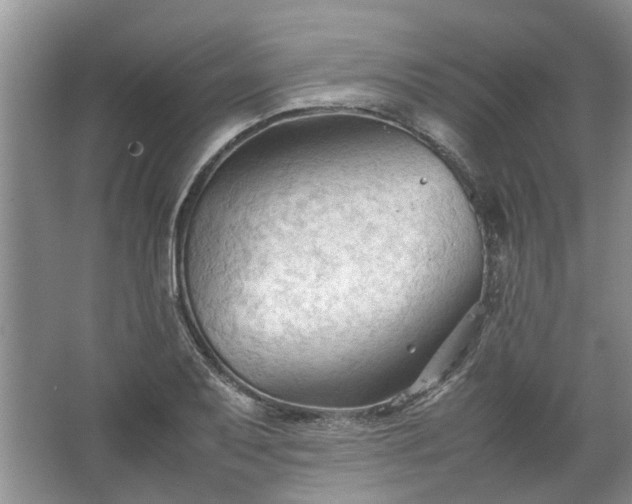 X0000067521079200604150154