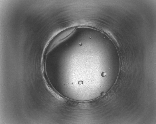 X0000067521080200604150154