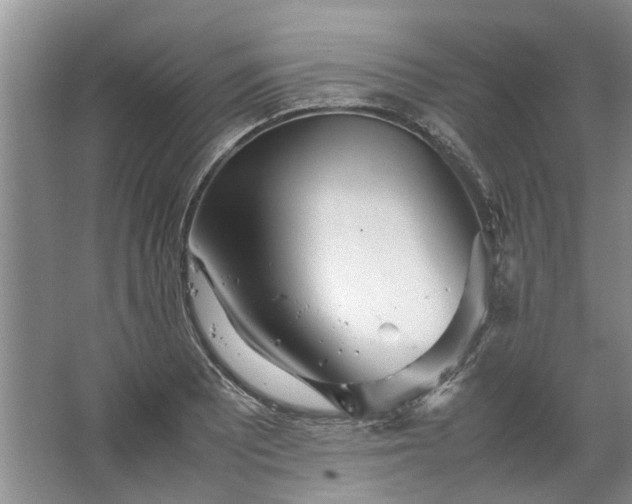 X0000067521081200604150154