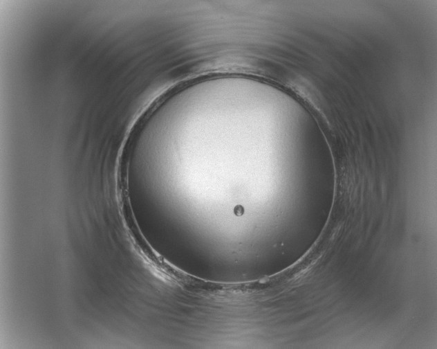 X0000067521082200604150154