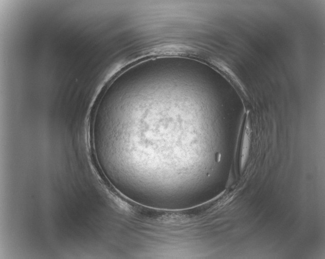 X0000067521083200604150154