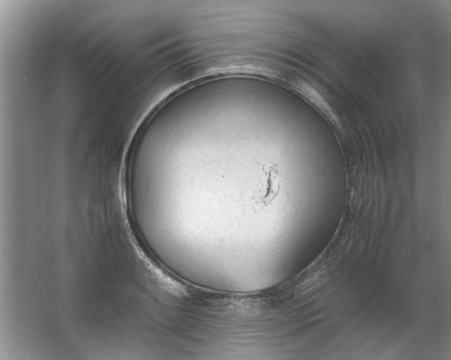 X0000067521084200604150154