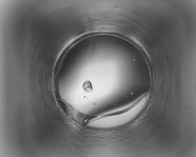 X0000067521085200604150153