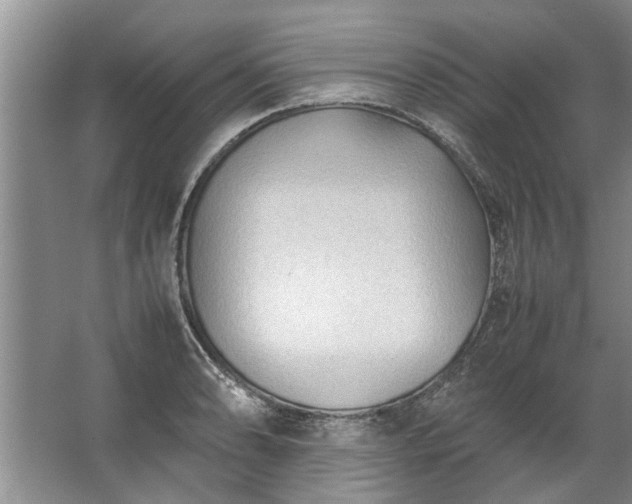 X0000067521086200604150153