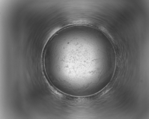 X0000067521087200604150153