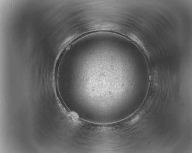 X0000067521088200604150153