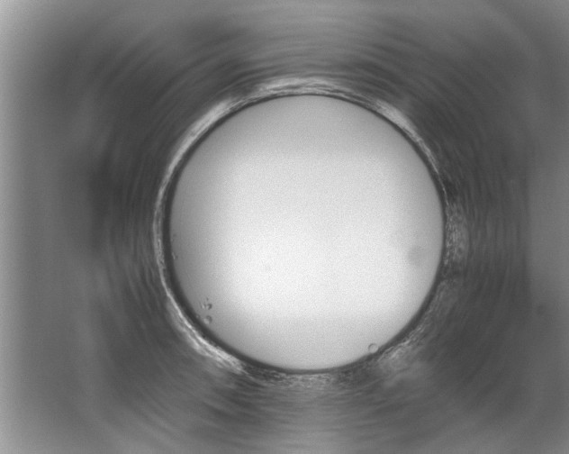 X0000067521090200604150153