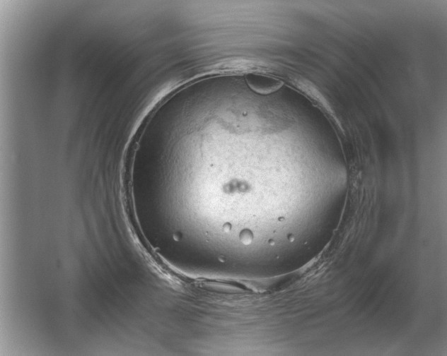 X0000067521091200604150153