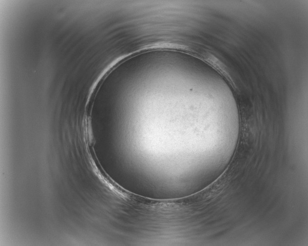 X0000067521092200604150153