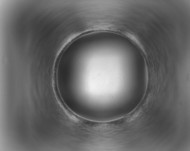 X0000067521093200604150153