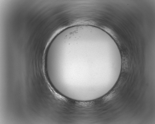 X0000067521094200604150153