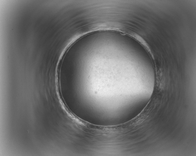 X0000067521096200604150153