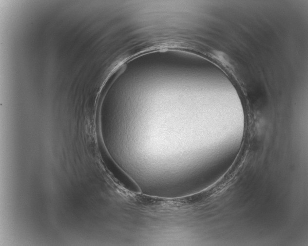 X0000067521097200604150153