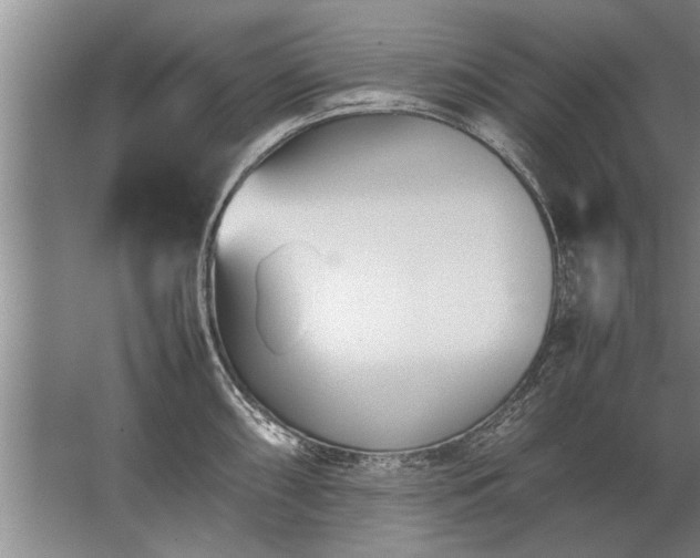 X0000067521098200604150153