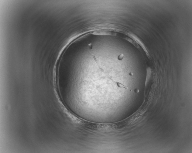 X0000067521099200604150153