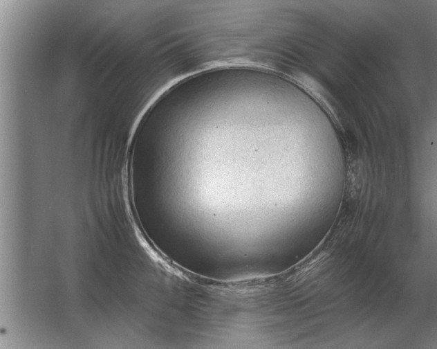 X0000067521100200604150153