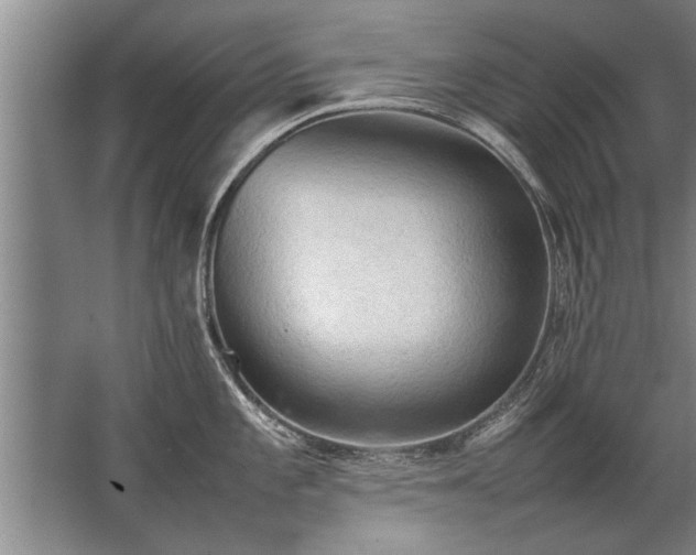 X0000067521101200604150153