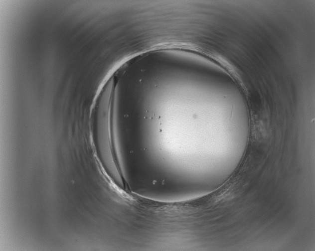 X0000067521102200604150153