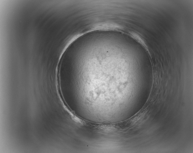 X0000067521103200604150153