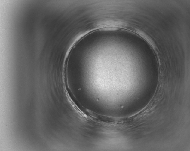 X0000067521104200604150153