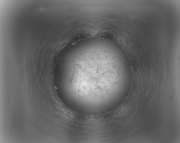 X0000067521105200604150152