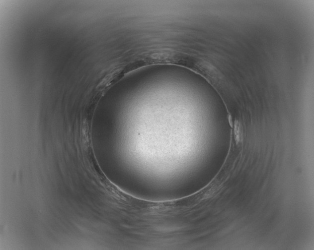 X0000067521107200604150152