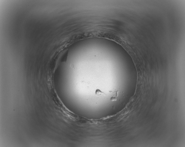 X0000067521109200604150152