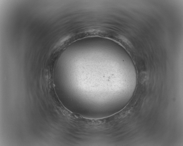 X0000067521111200604150152