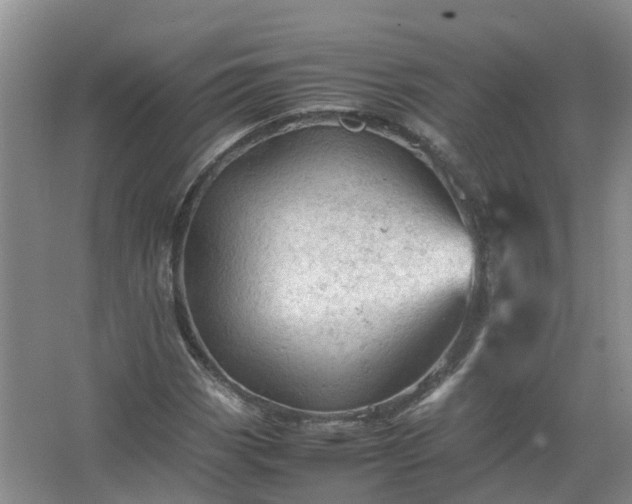 X0000067521113200604150152