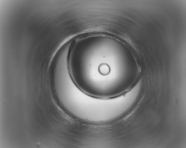 X0000067521118200604150153