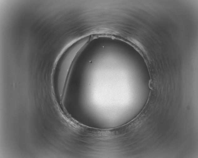 X0000067521120200604150153