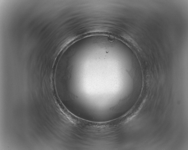 X0000067521121200604150153