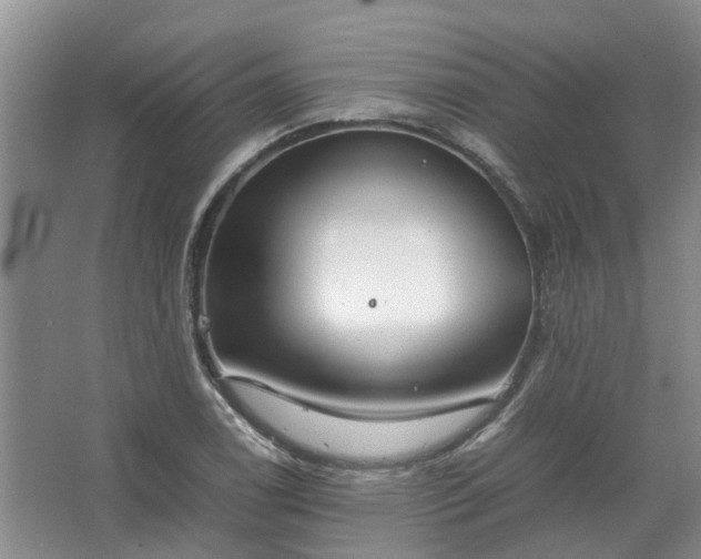 X0000067521122200604150153