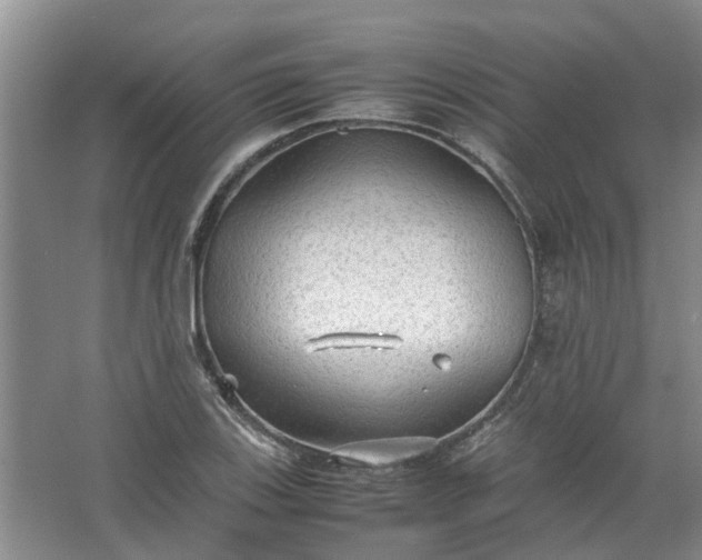 X0000067521123200604150153