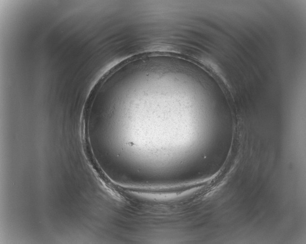 X0000067521125200604150153