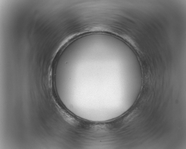 X0000067521126200604150153