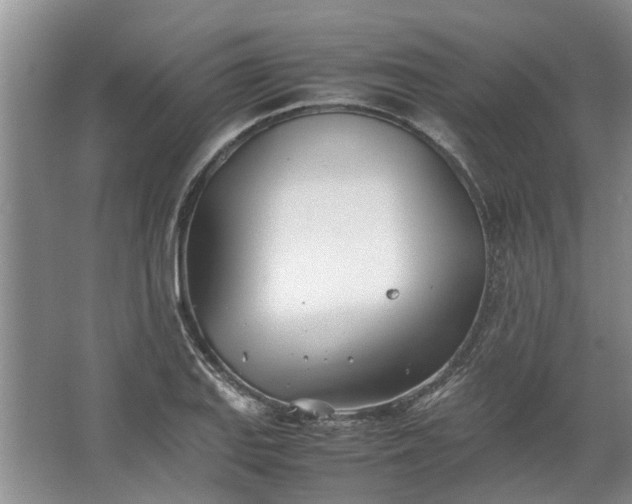 X0000067521127200604150153