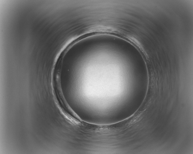 X0000067521128200604150153