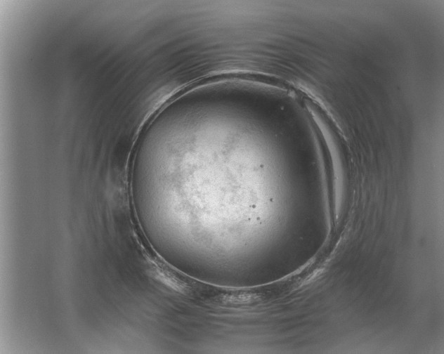 X0000067521129200604150153