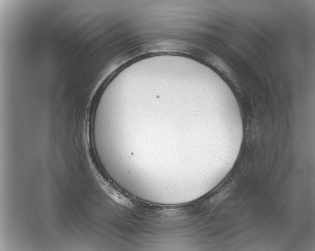 X0000067521130200604150153