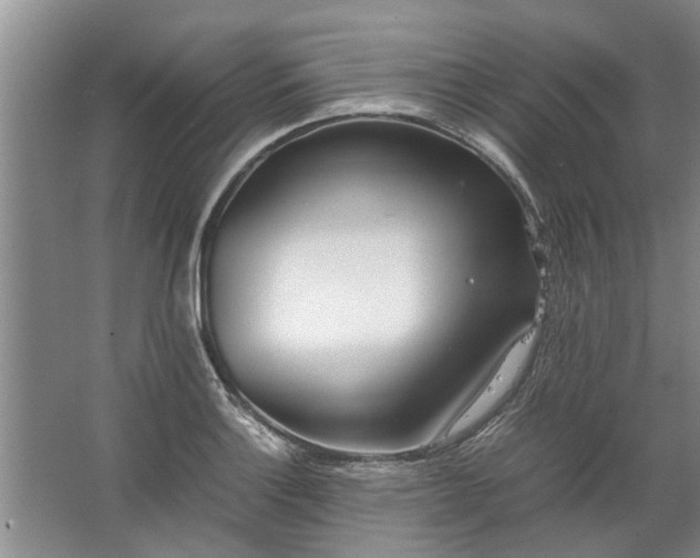 X0000067521132200604150153