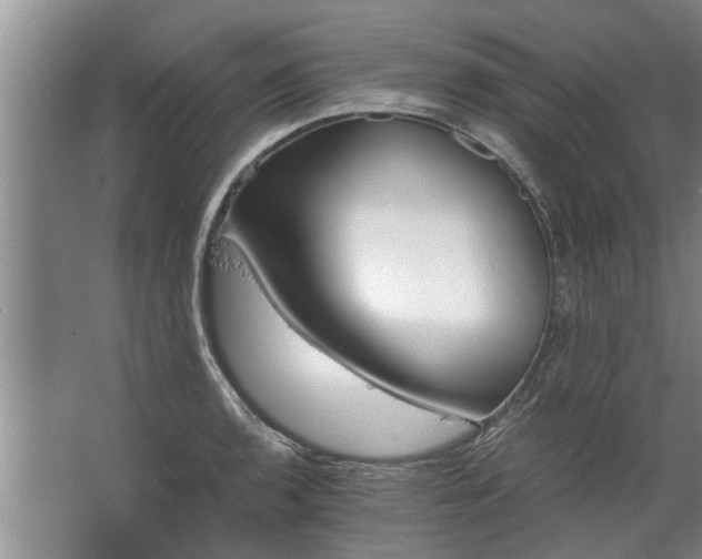 X0000067521136200604150153