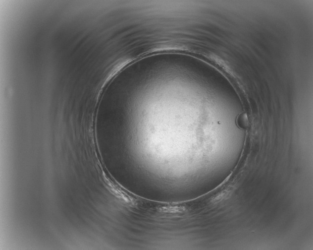 X0000067521137200604150153