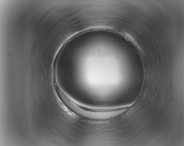 X0000067521140200604150153