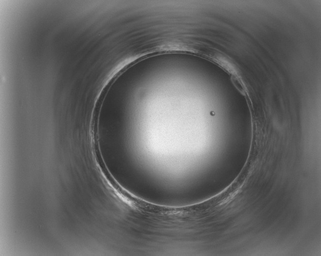 X0000067521141200604150153